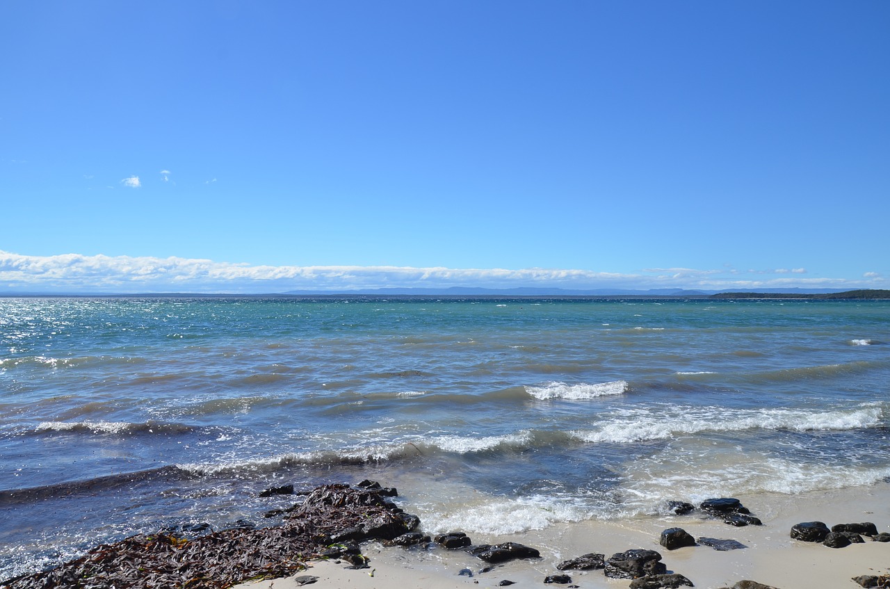 beach rocks sea free photo