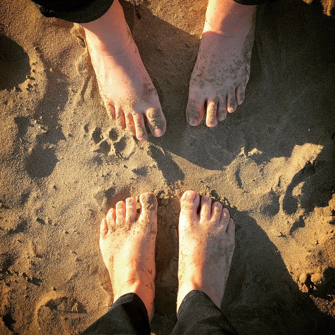 beach feet sand free photo