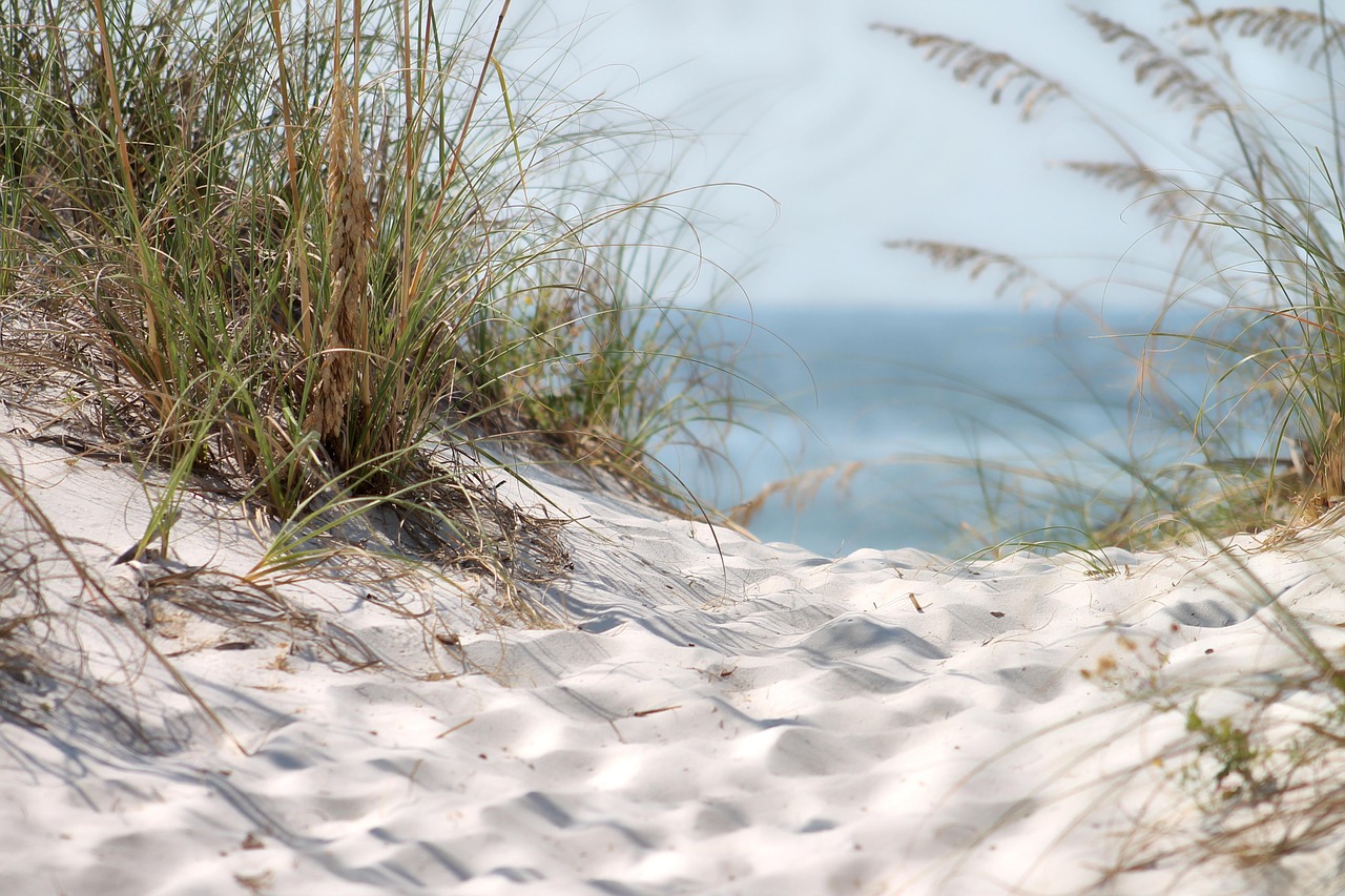 beach sand sandy free photo