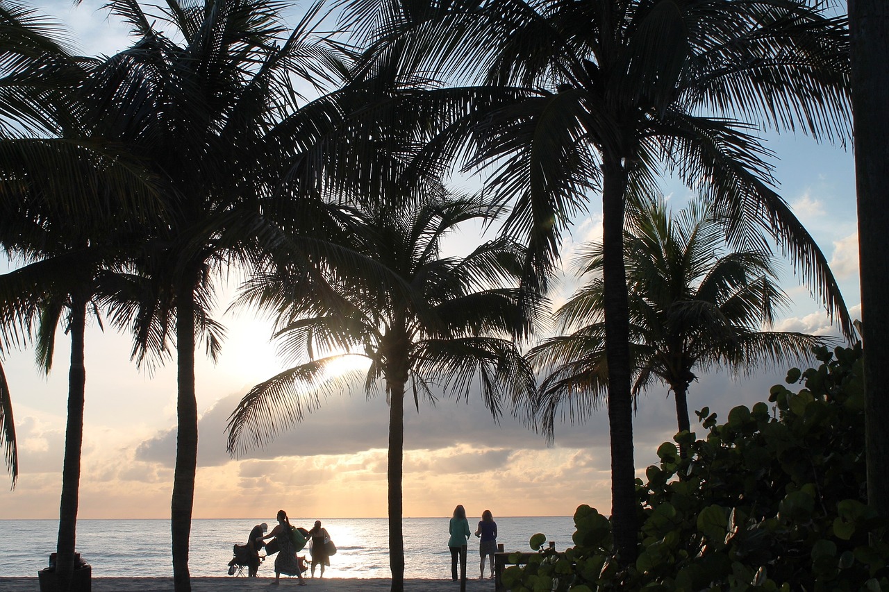 beach palms tropical free photo