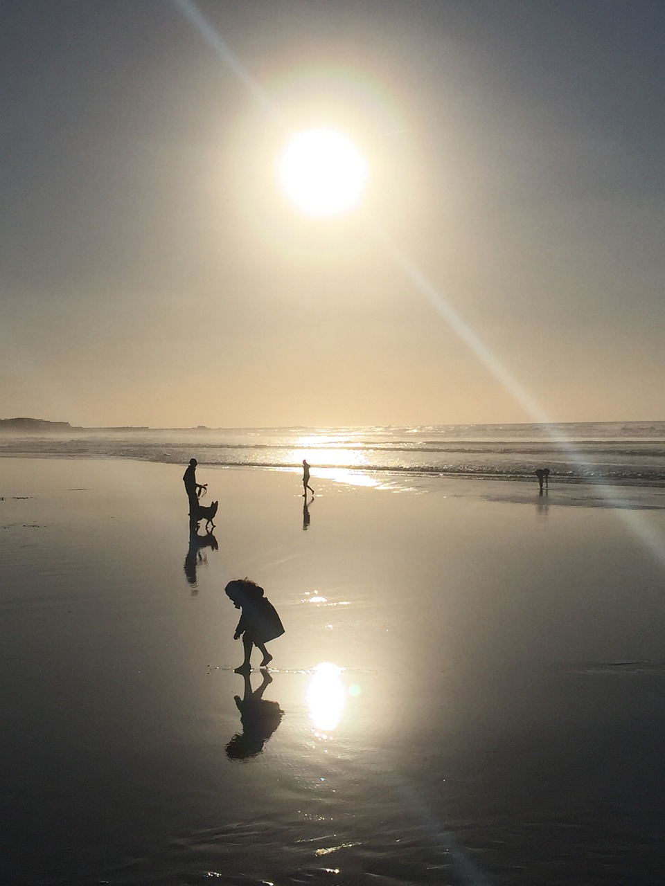 beach sunset ocean free photo