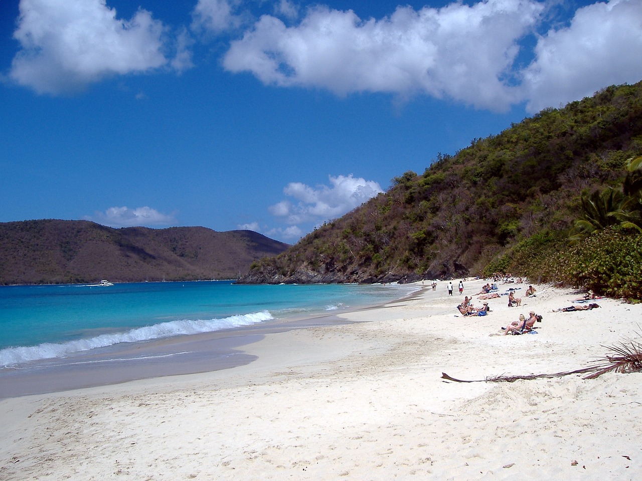 beach white sand free photo