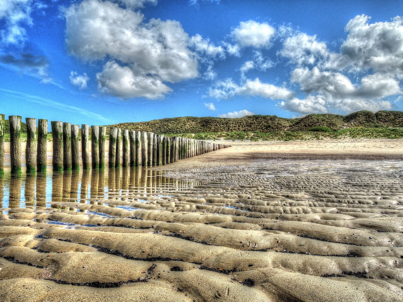 beach dunes sea free photo