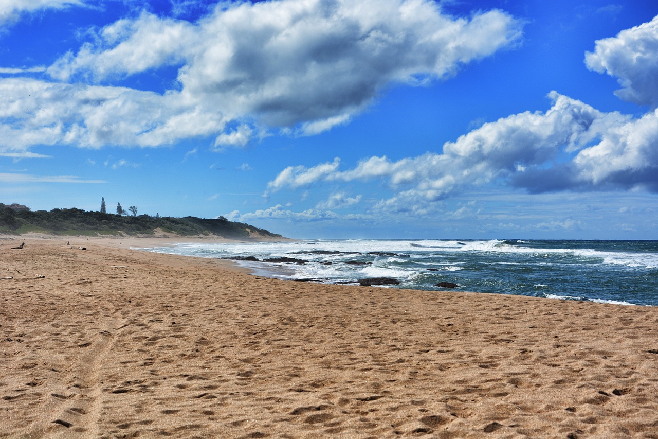 beach wave sea free photo