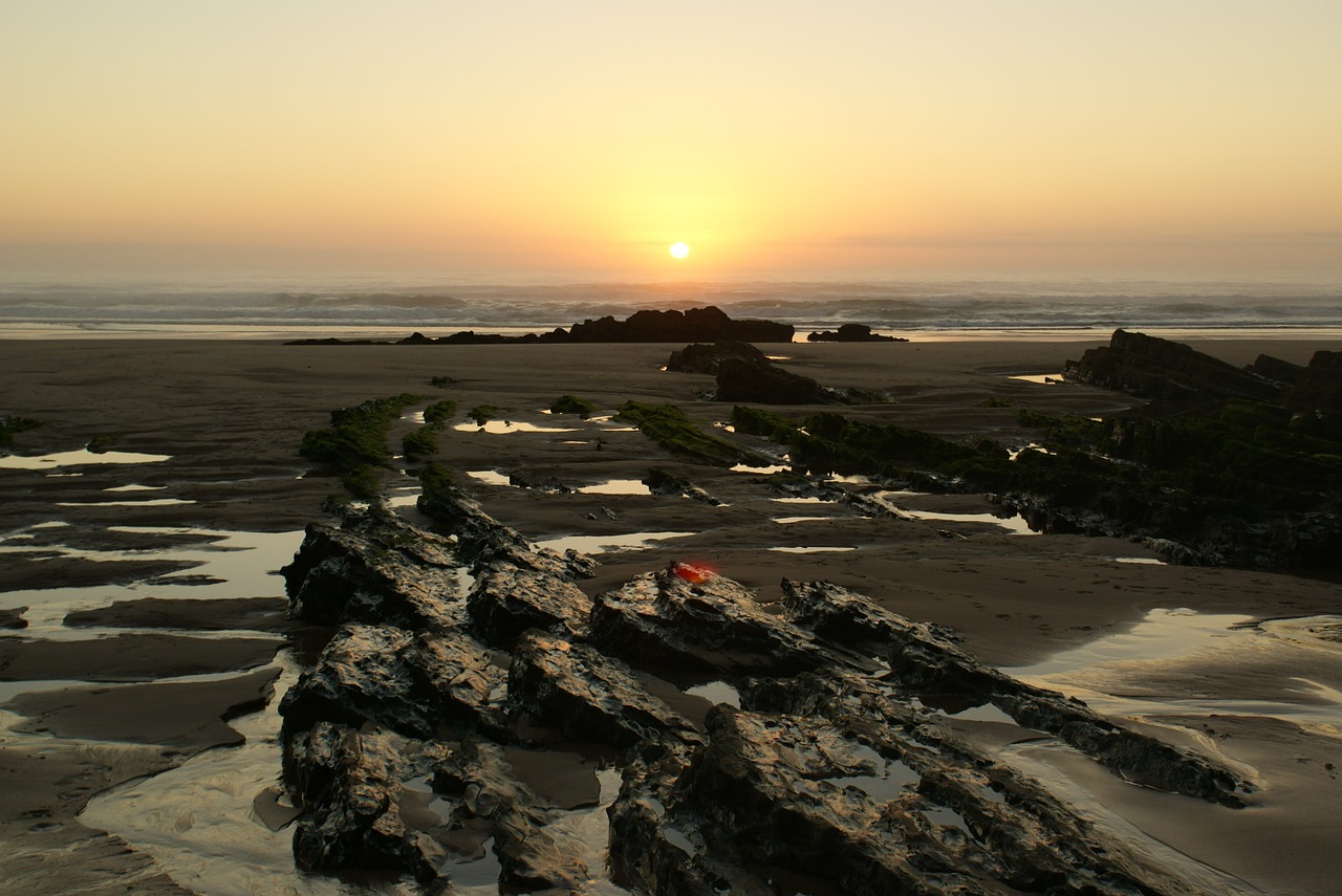 beach sea nature free photo