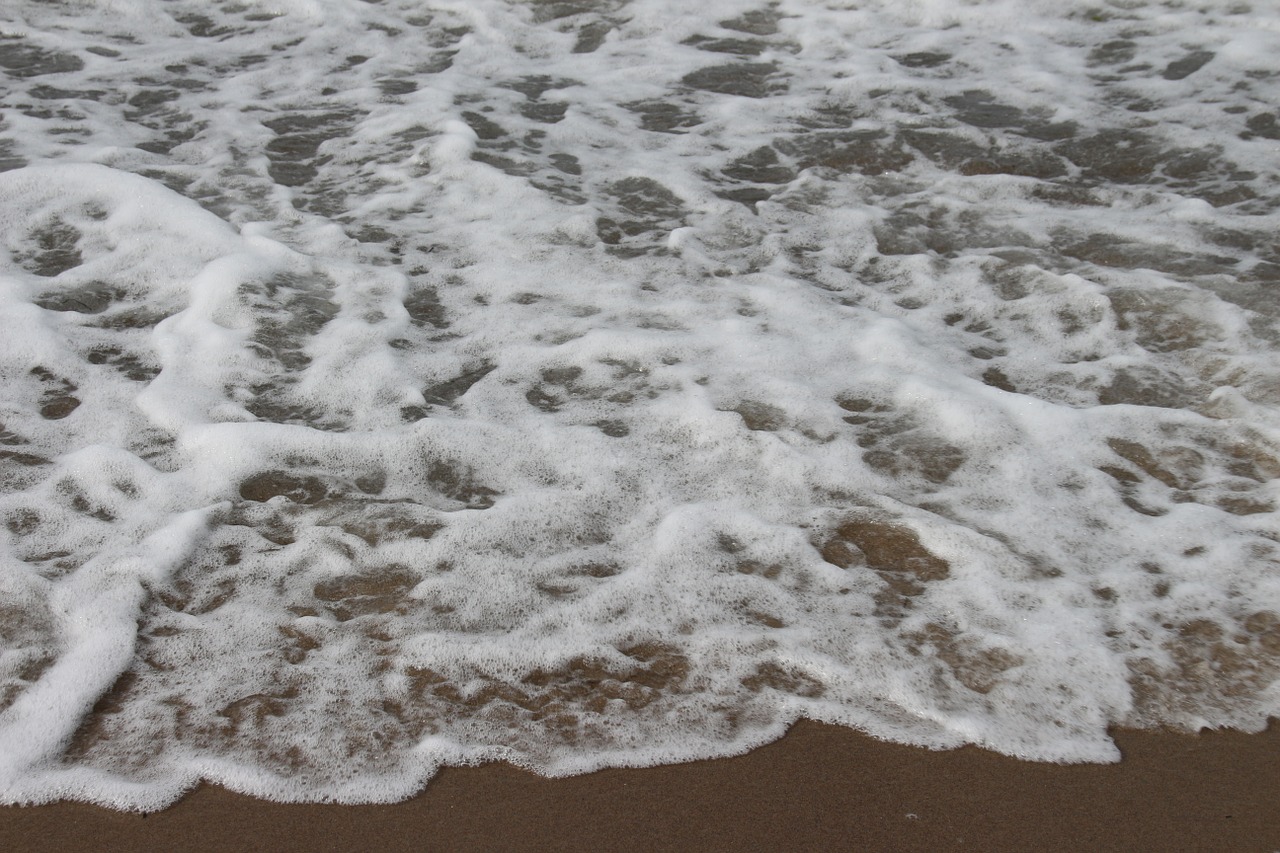 beach water wave free photo