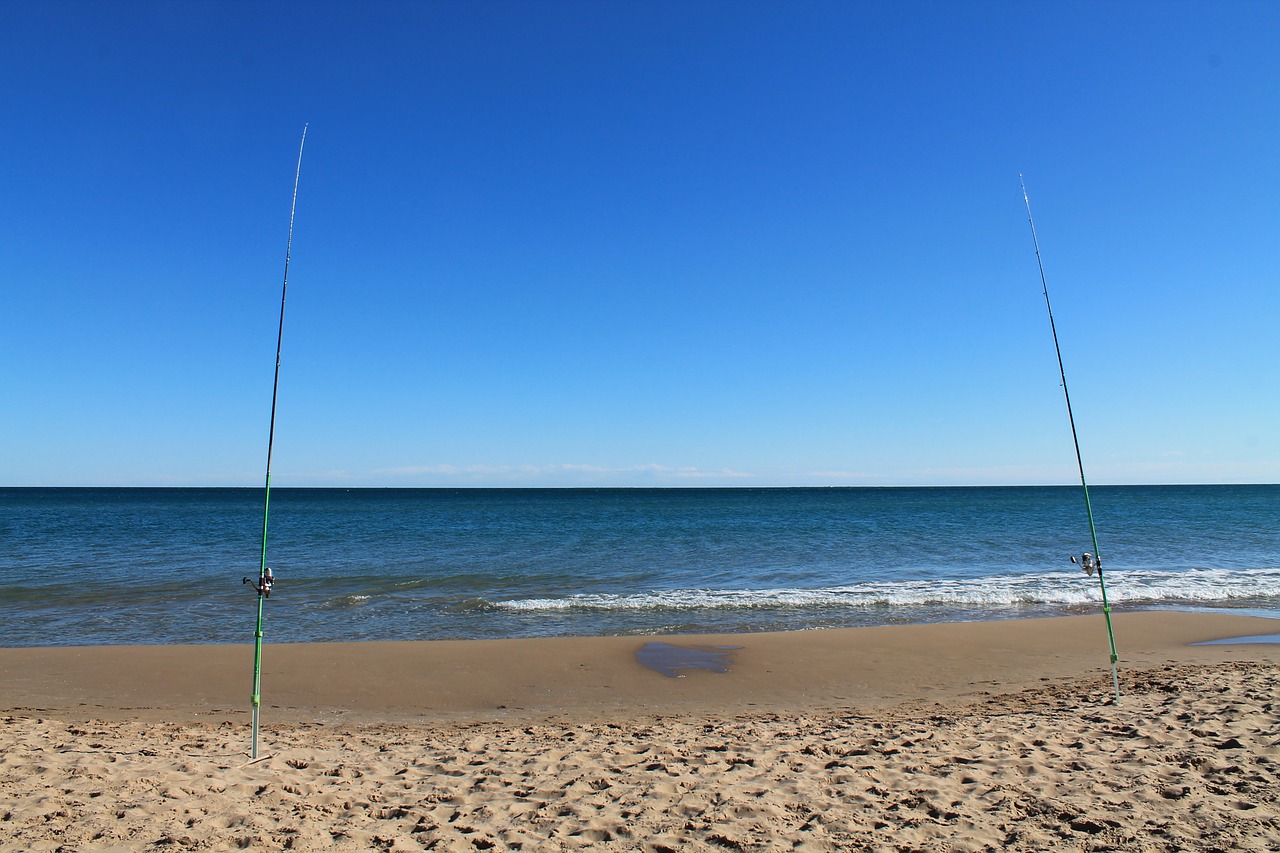 beach landscape natural free photo