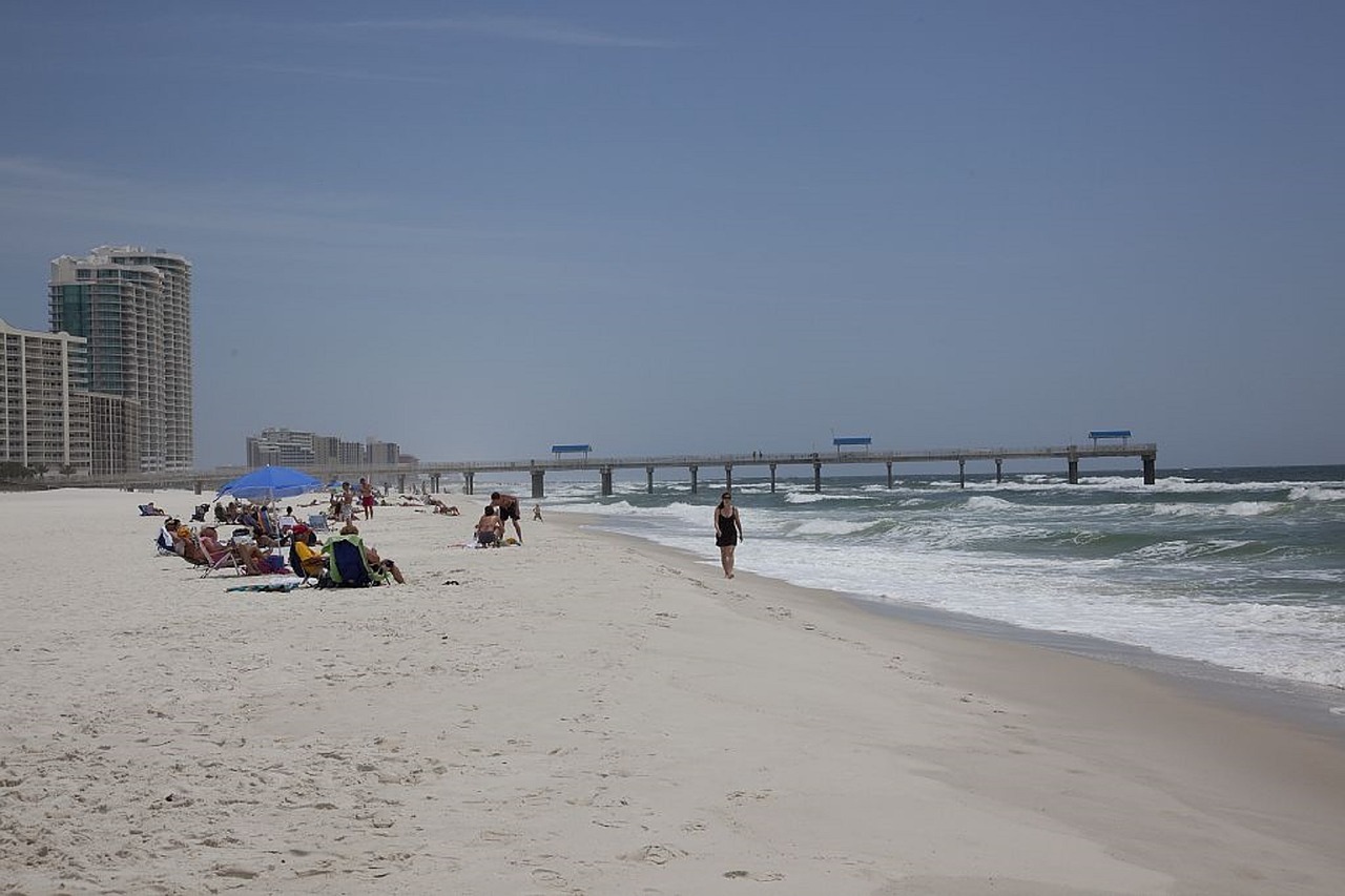 beach surf ocean free photo