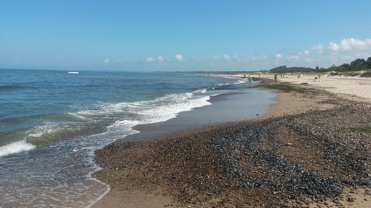 beach sea waves free photo