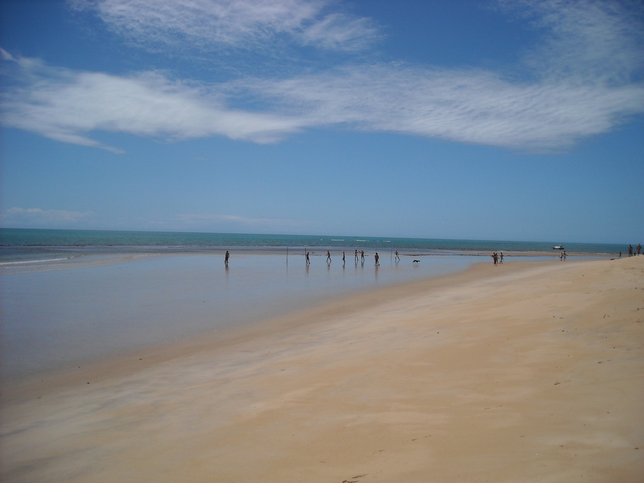 beach low tide sea free photo