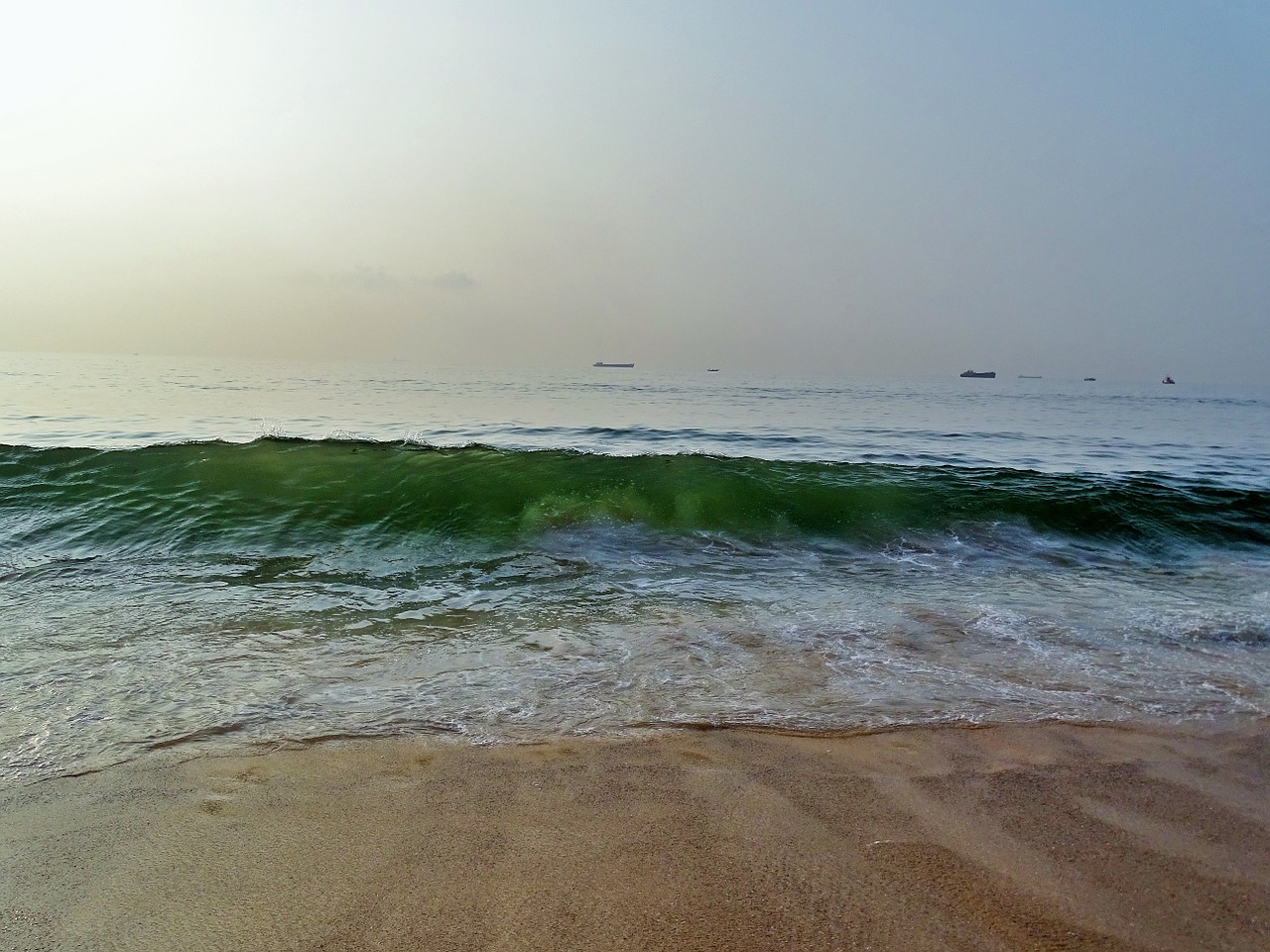 beach wave morning free photo