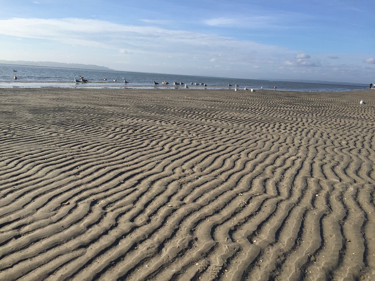 beach landscape nature free photo