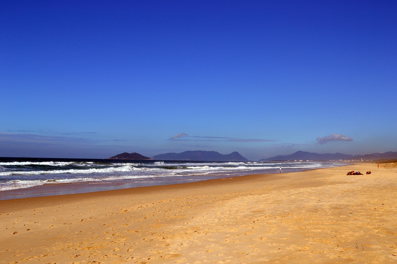 beach brazil nature free photo