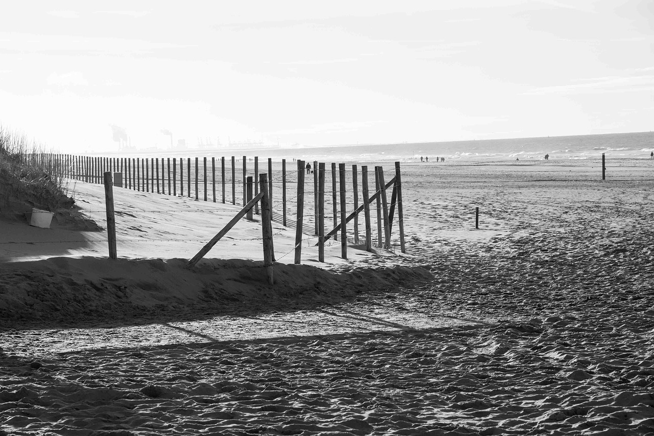 beach lost sand free photo