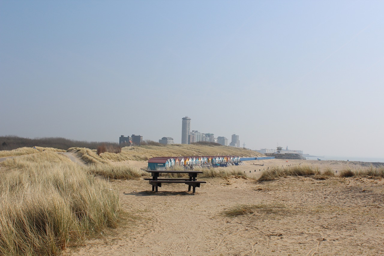 beach boulevard dune free photo