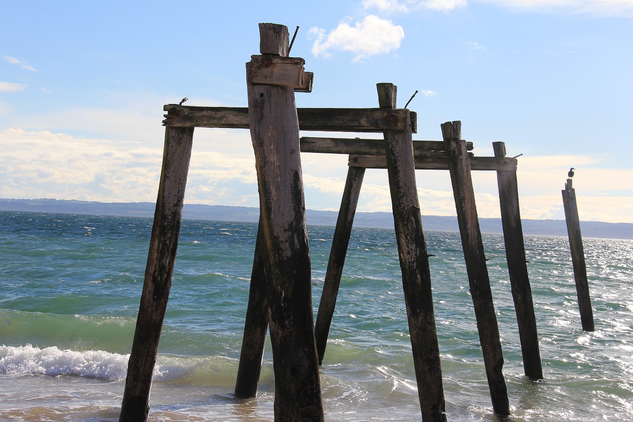 beach old pier free photo