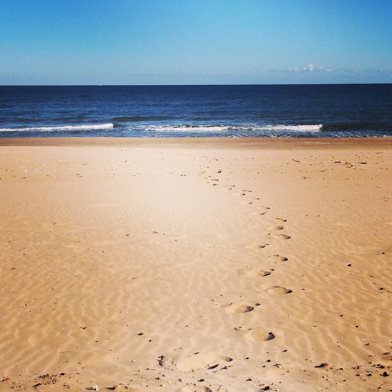 beach sand sun free photo