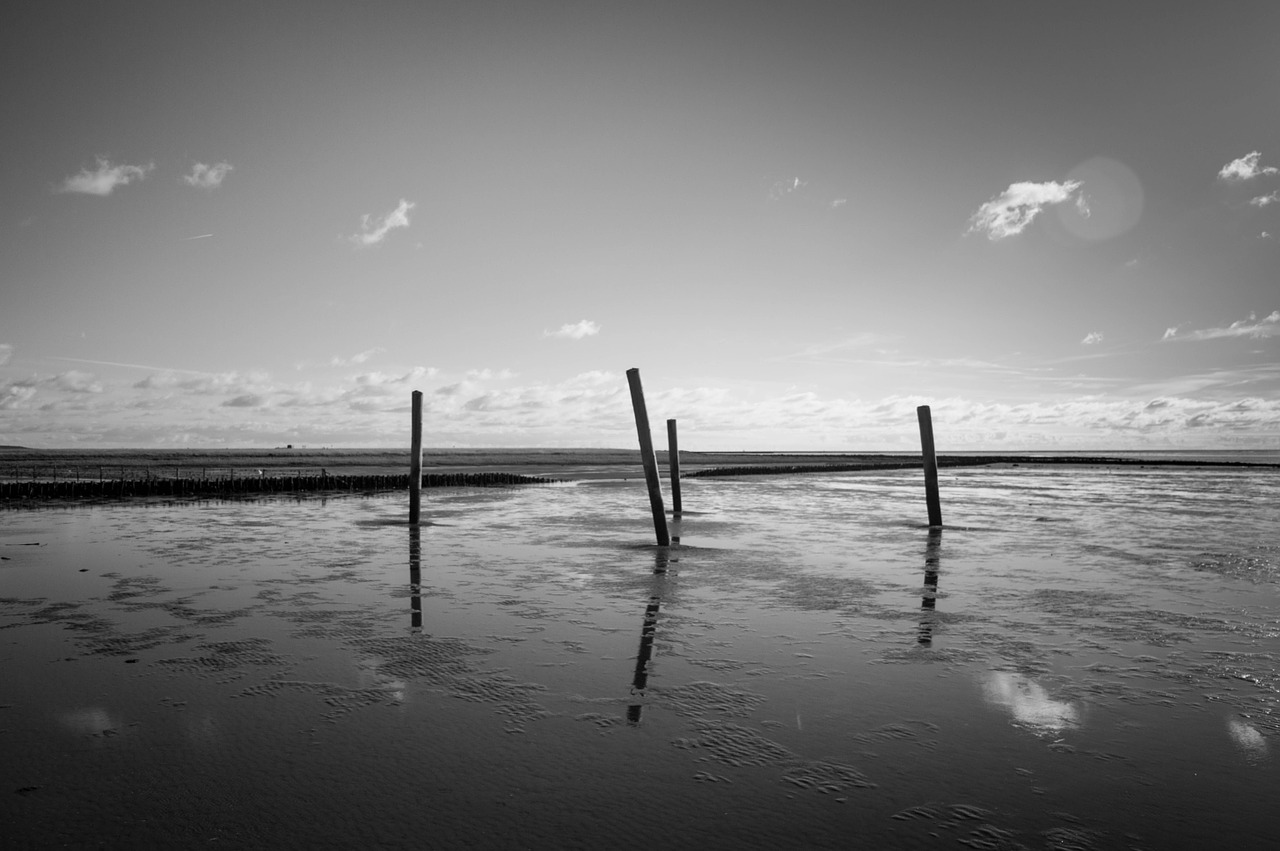 beach piles sky free photo