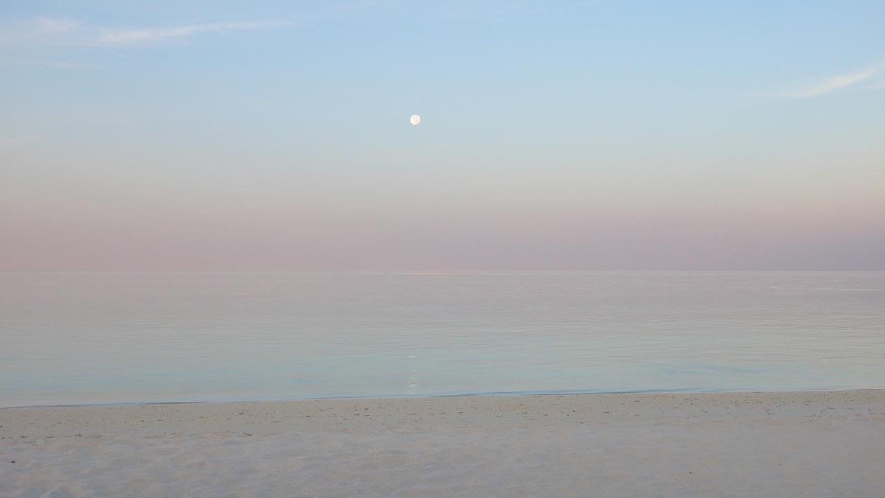 beach sea horizon free photo