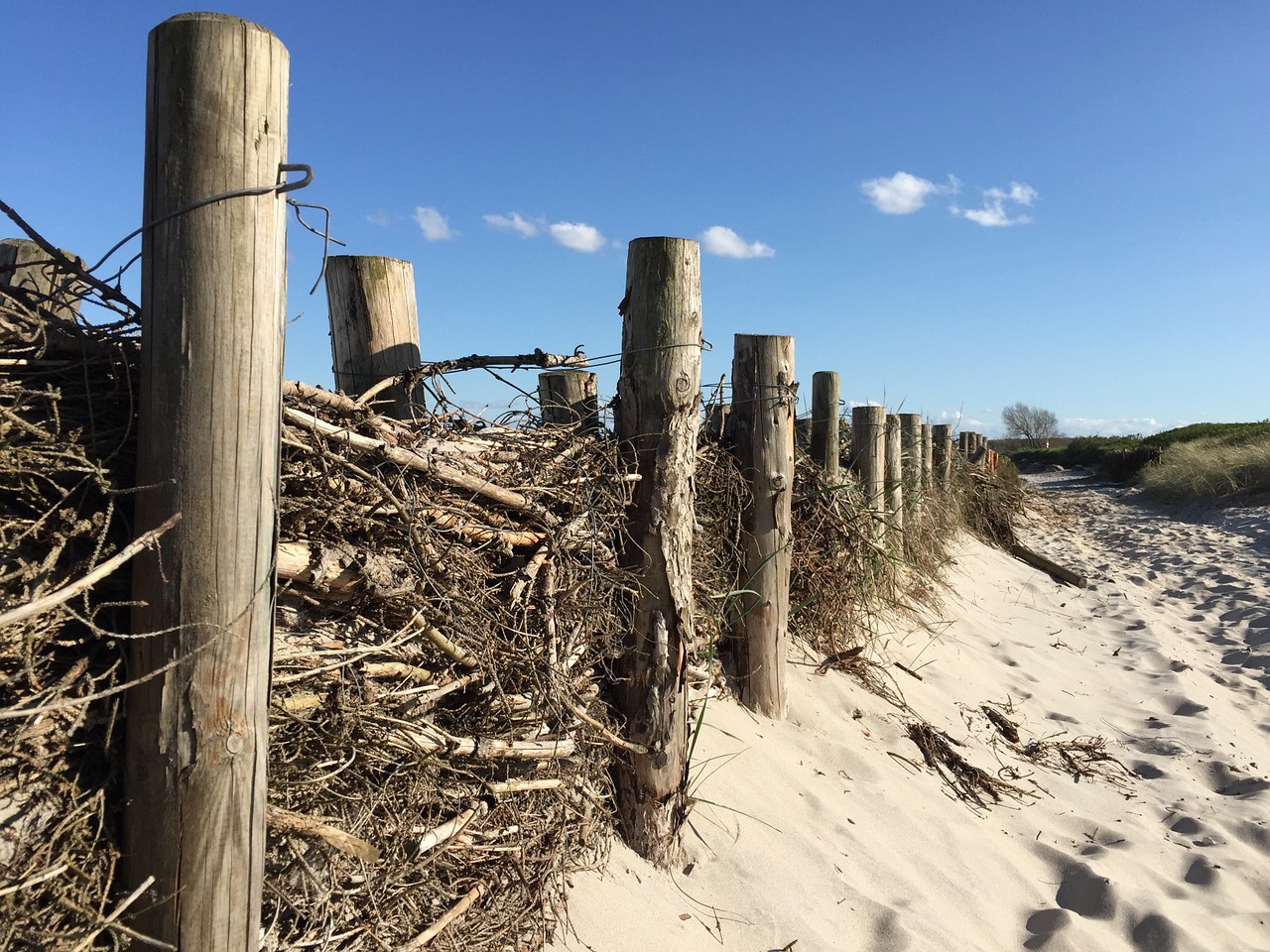 beach baltic sea germany free photo