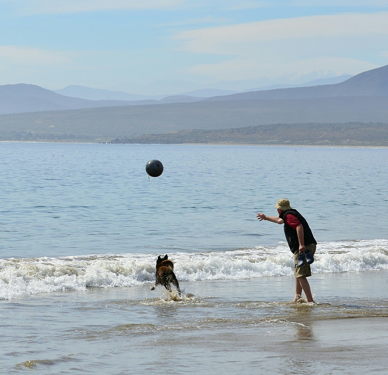 beach game man free photo