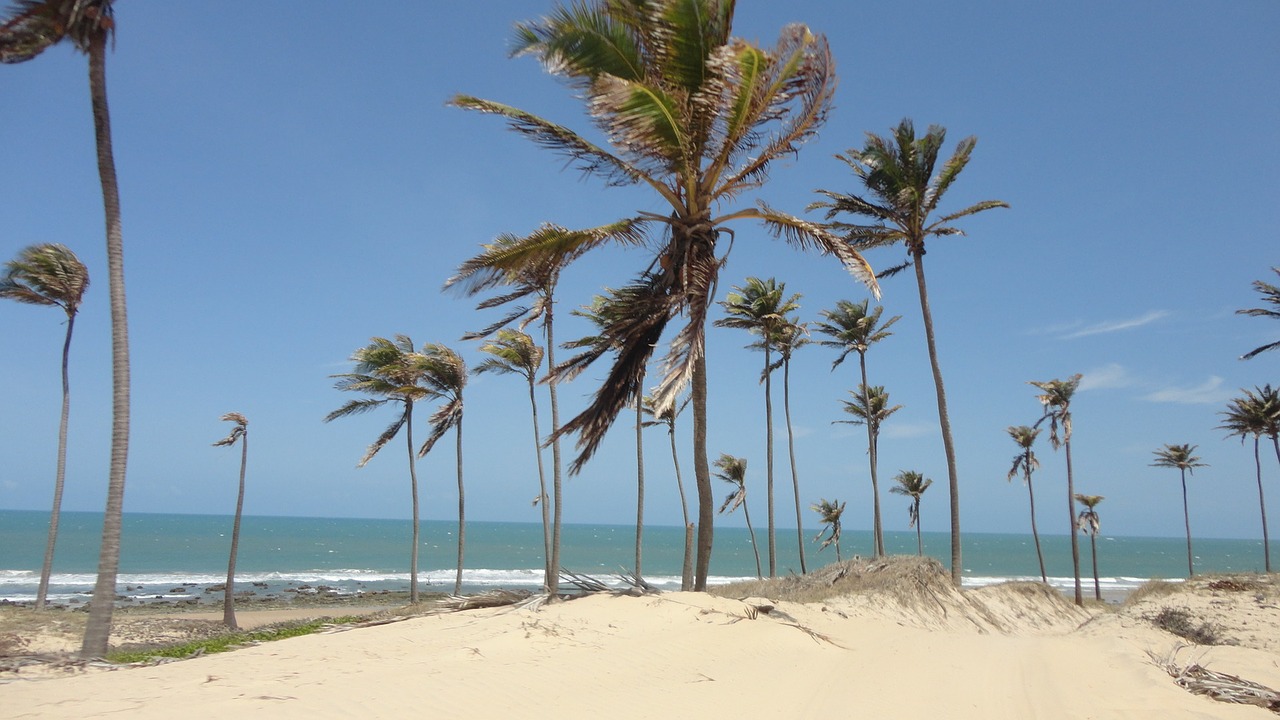 beach ceará brazil free photo