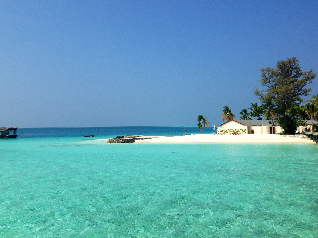 beach maldives sea free photo