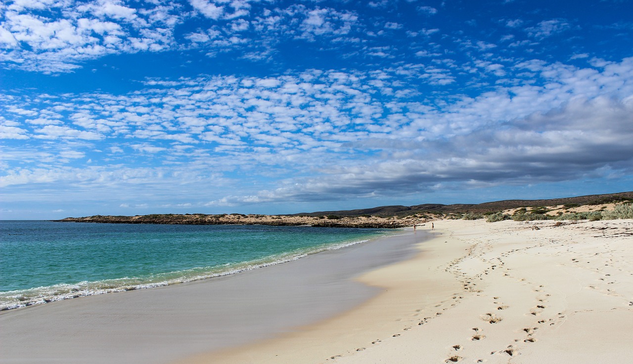 beach landscape sand free photo