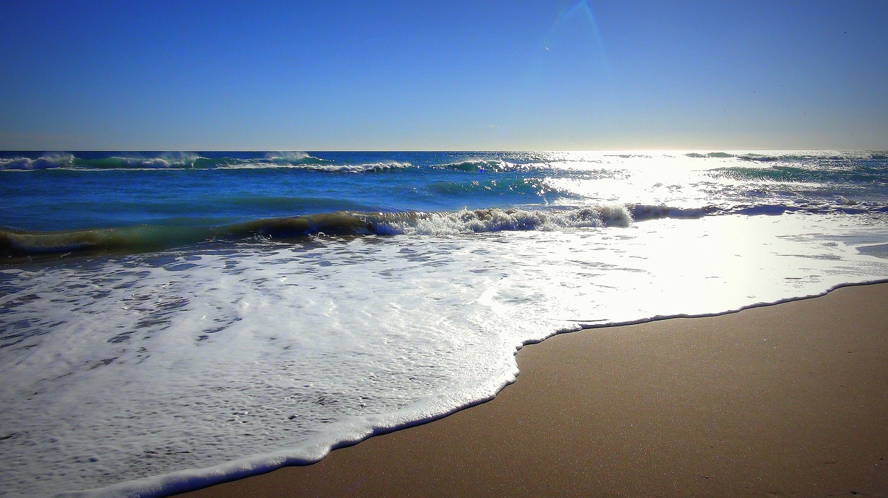 beach sea sand free photo