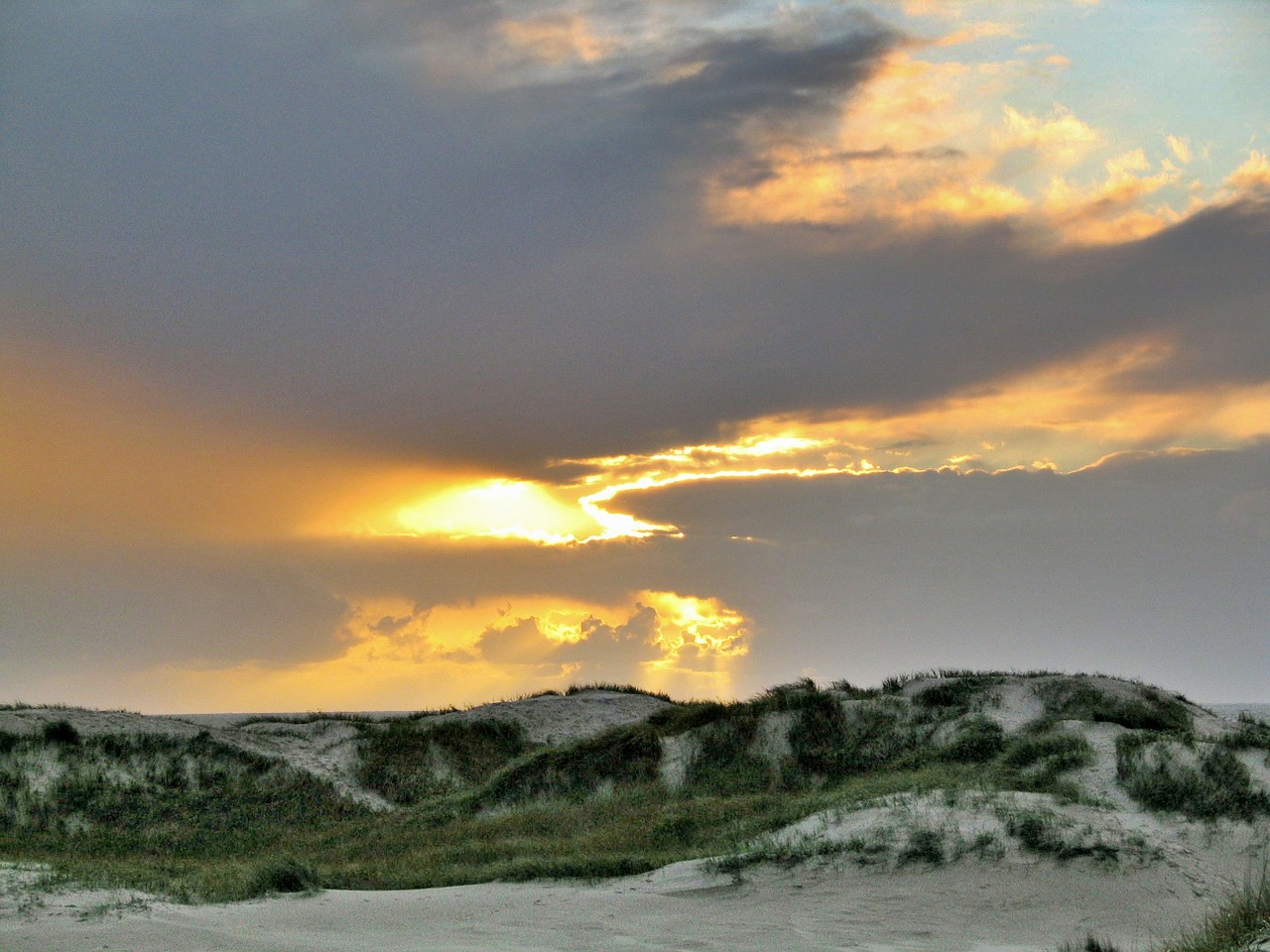 beach dune north sea free photo