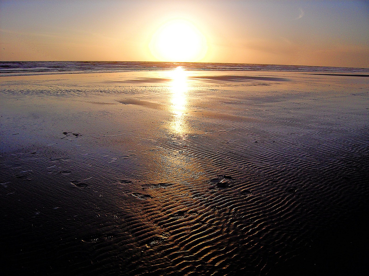 beach sea sunset free photo