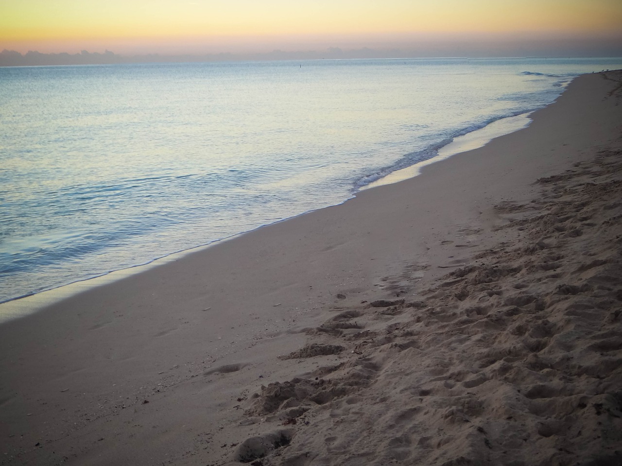 beach ocean sunrise free photo