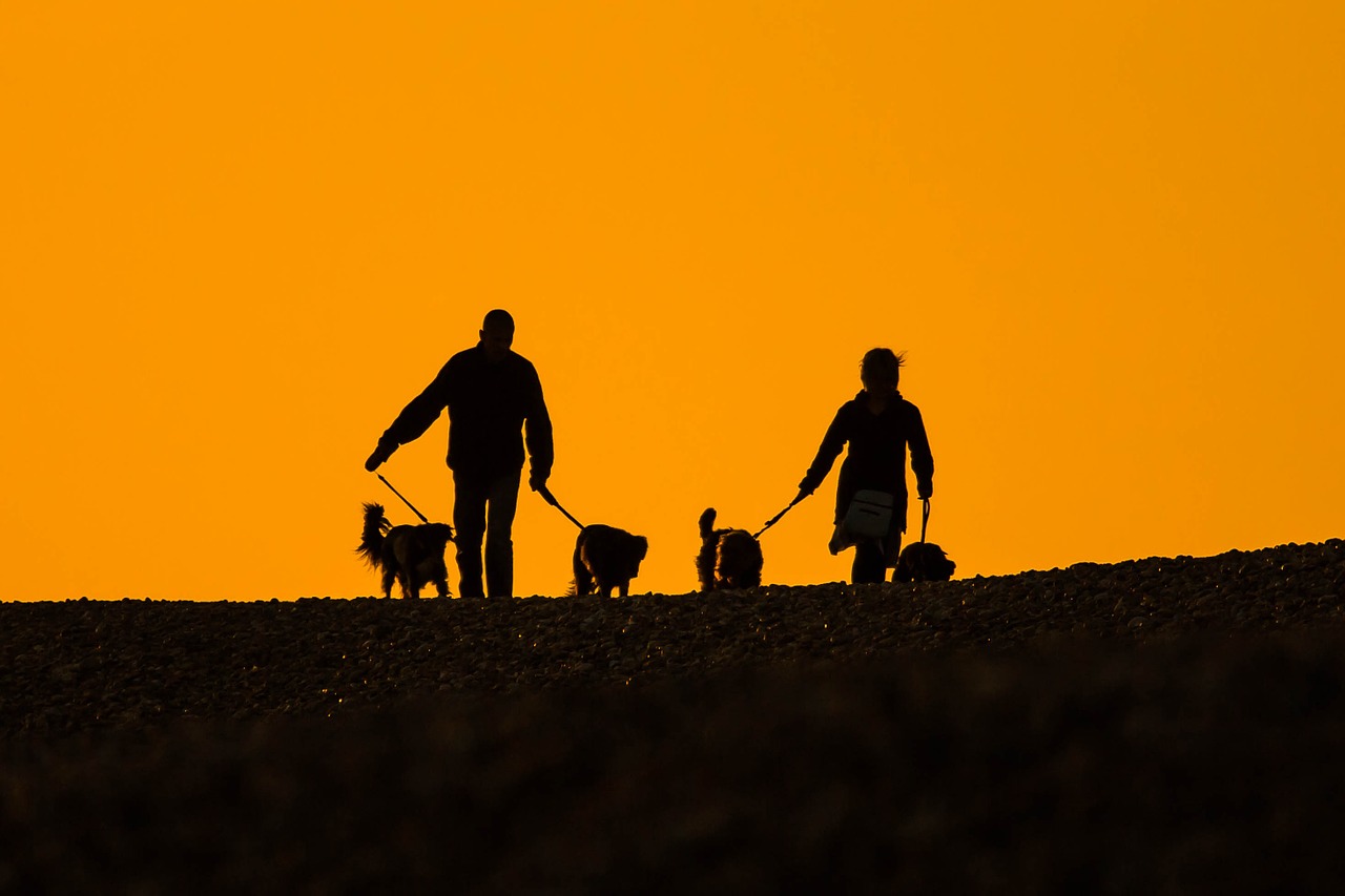 beach sunset people free photo