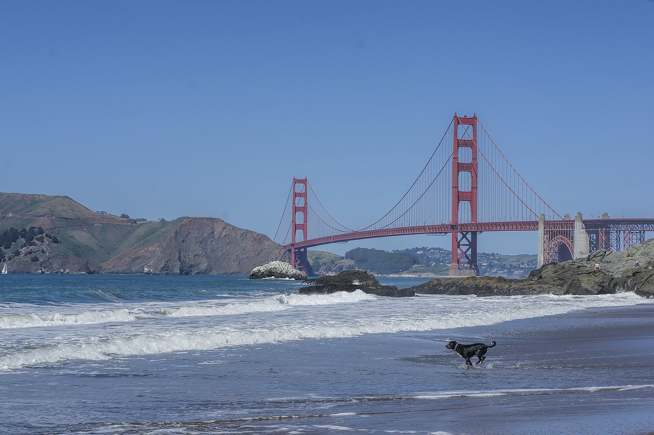 beach coast coastline free photo