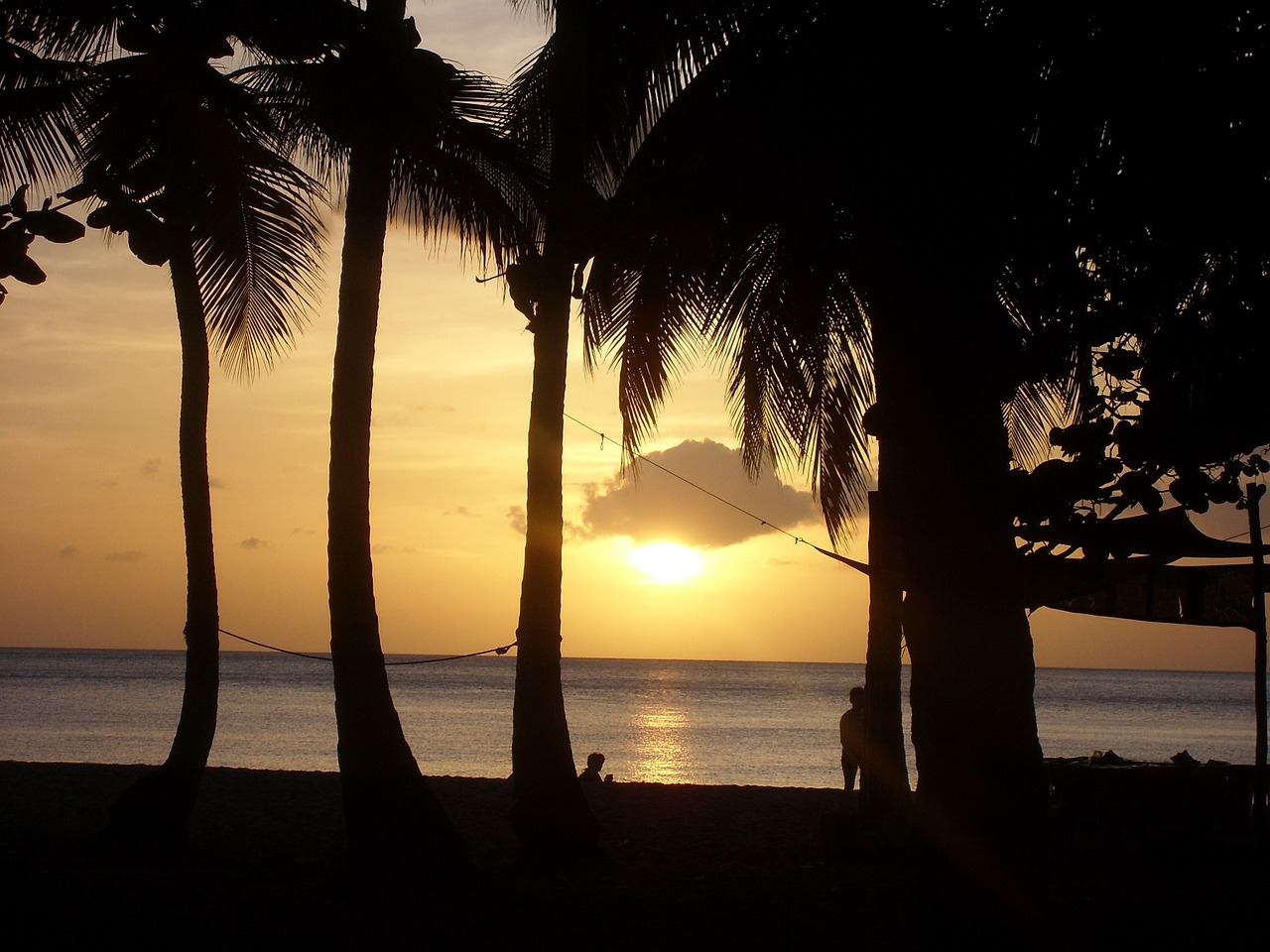 beach sunset guadeloupe free photo