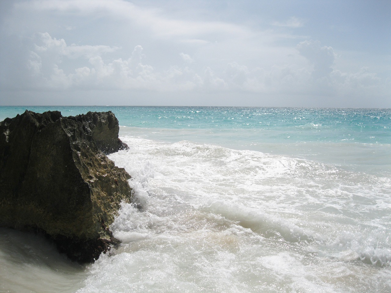 beach sea wave free photo