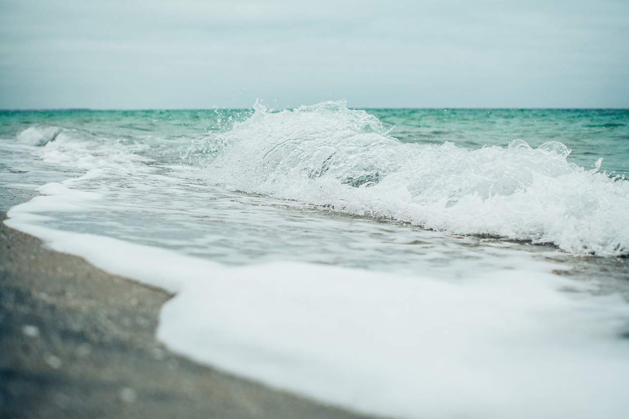 beach shore water free photo