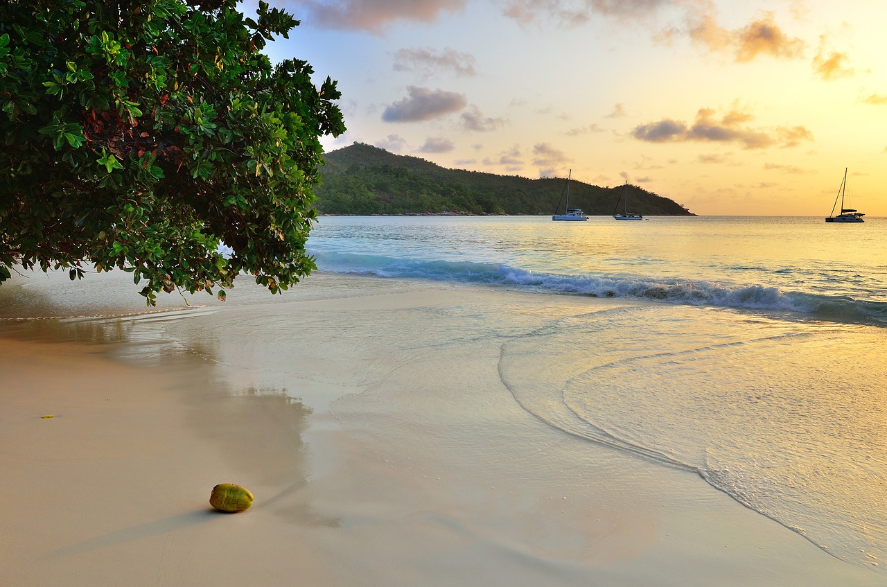 beach dawn summer free photo