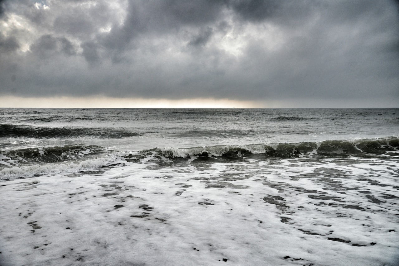 beach waves ocean free photo