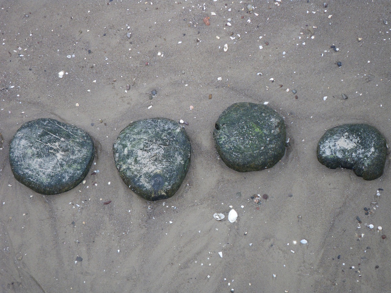 beach stones sand free photo