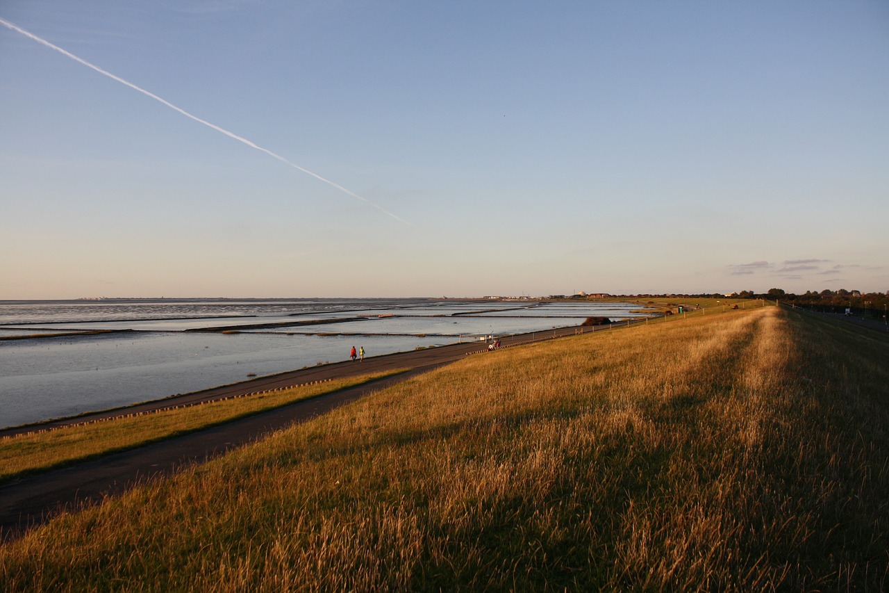 beach dunes sea free photo