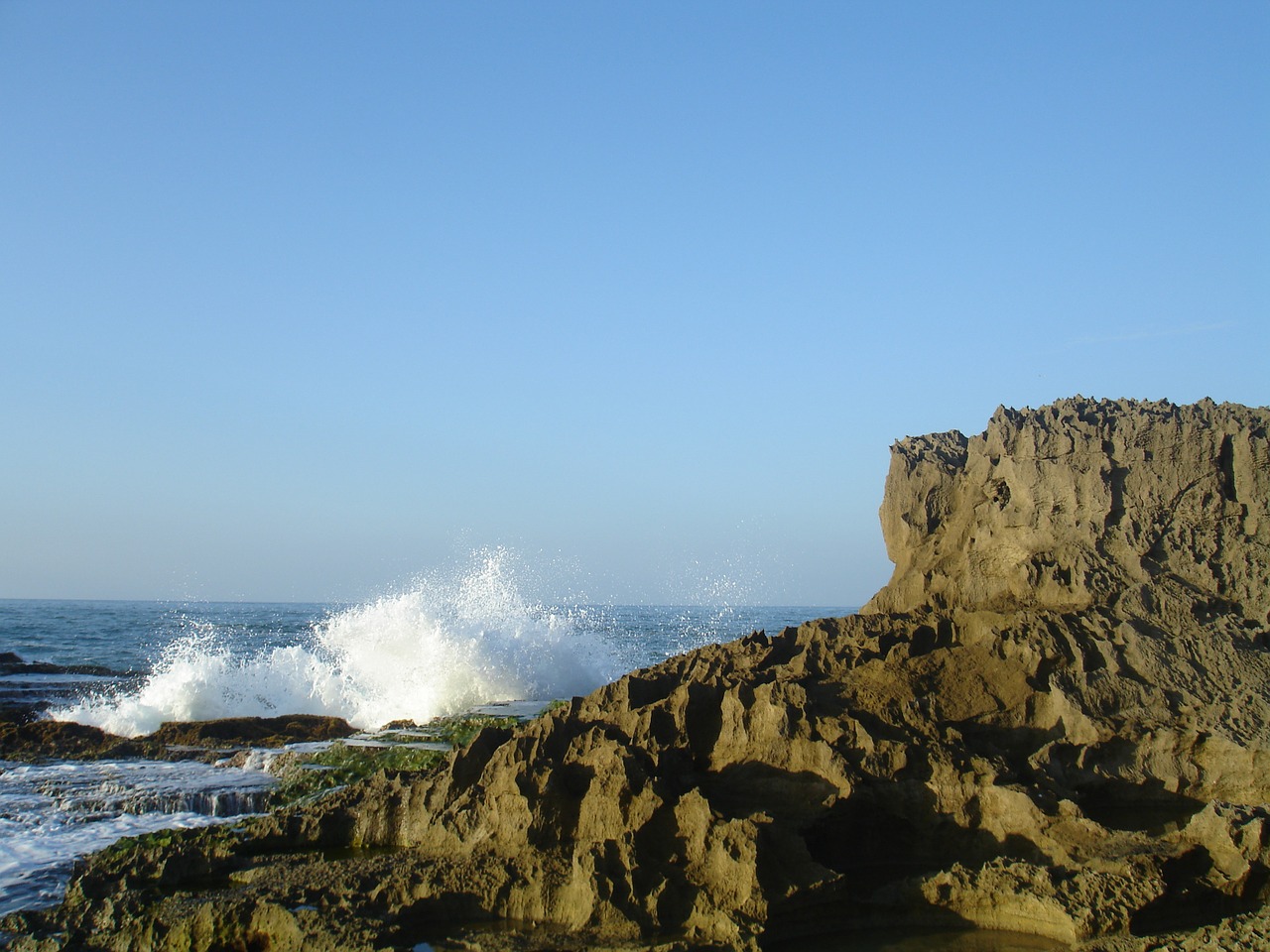 beach rock sea free photo