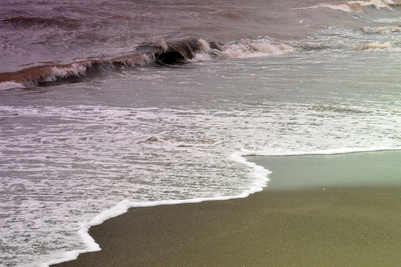 beach waves water free photo