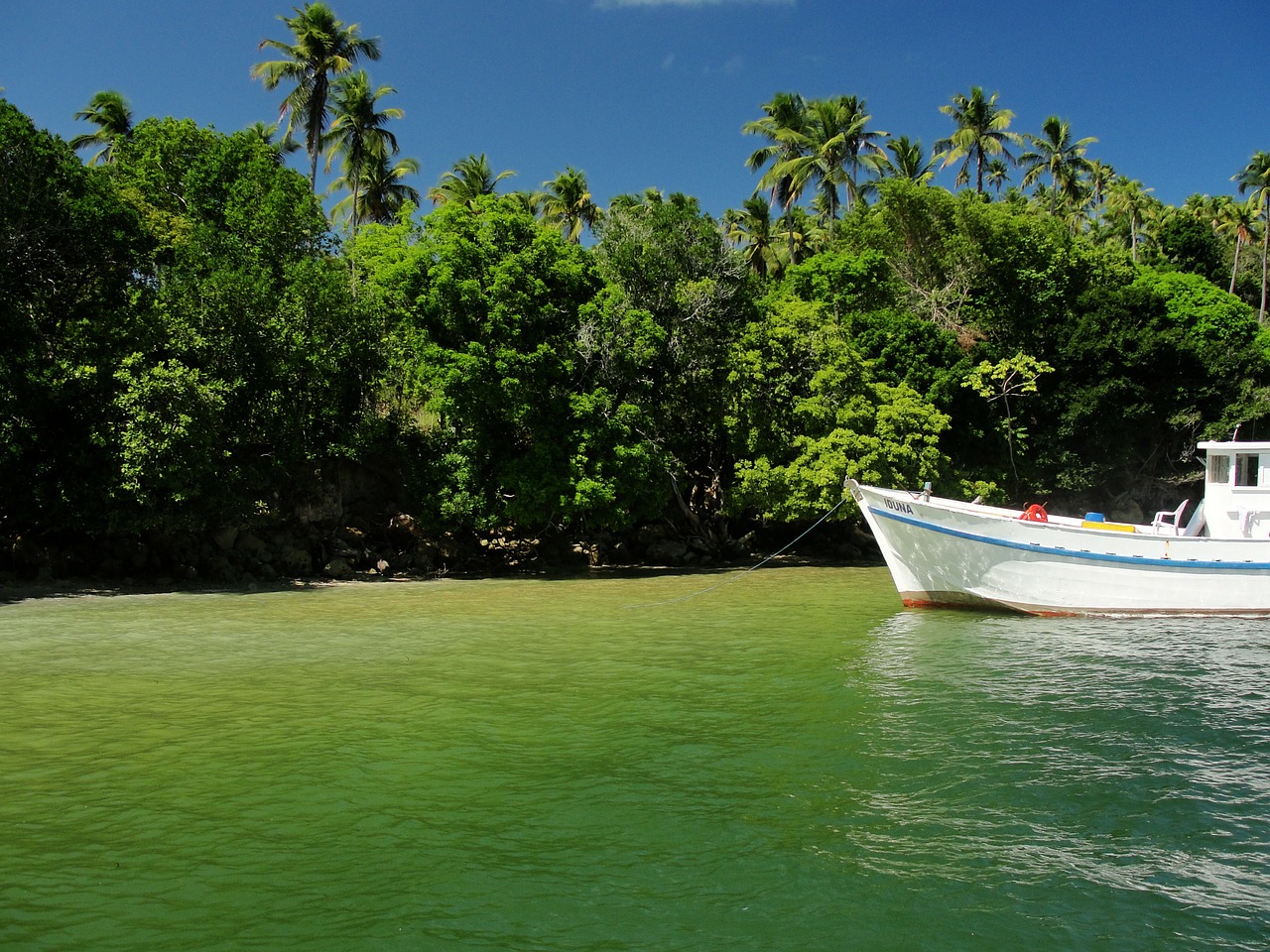 beach paradise sea free photo