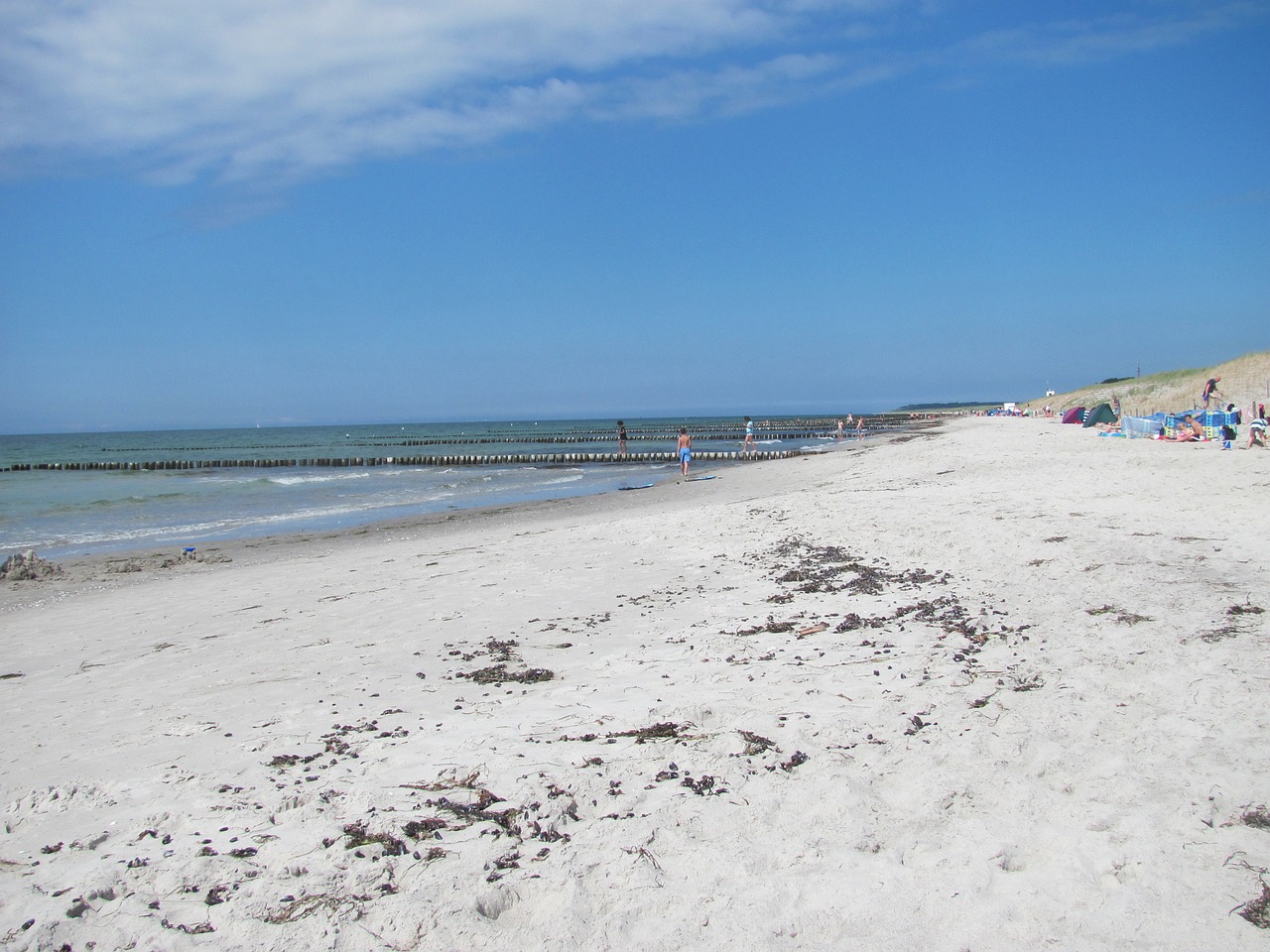 beach baltic sea ostsee free photo