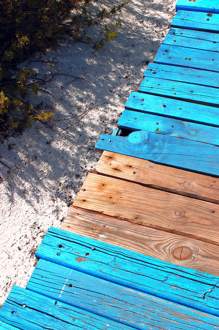 beach sand ocean free photo