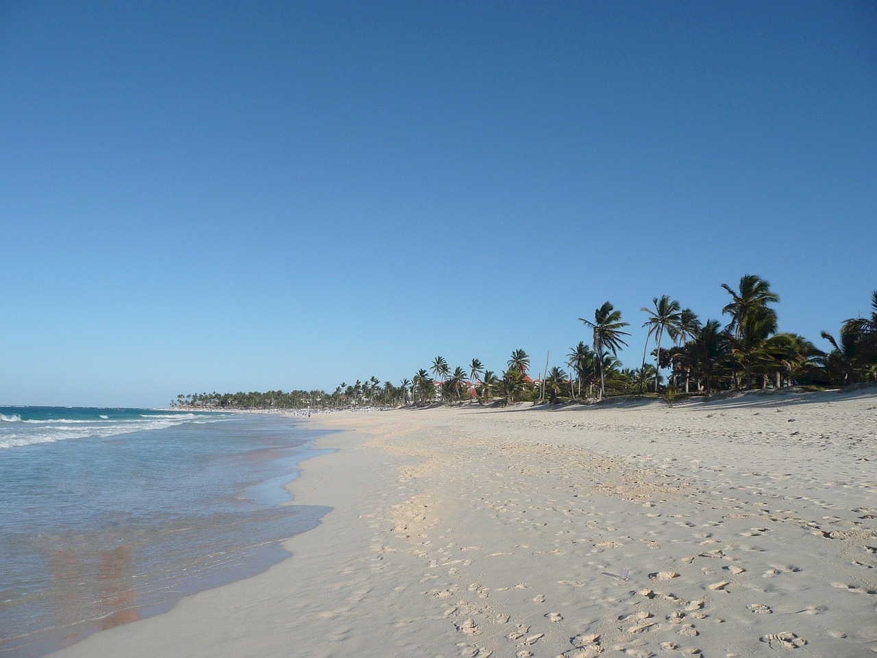 beach sand water free photo