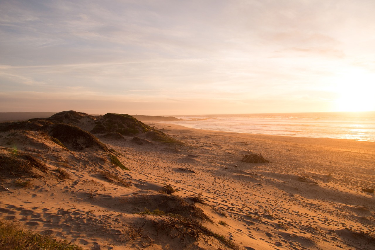 beach sand sunset free photo