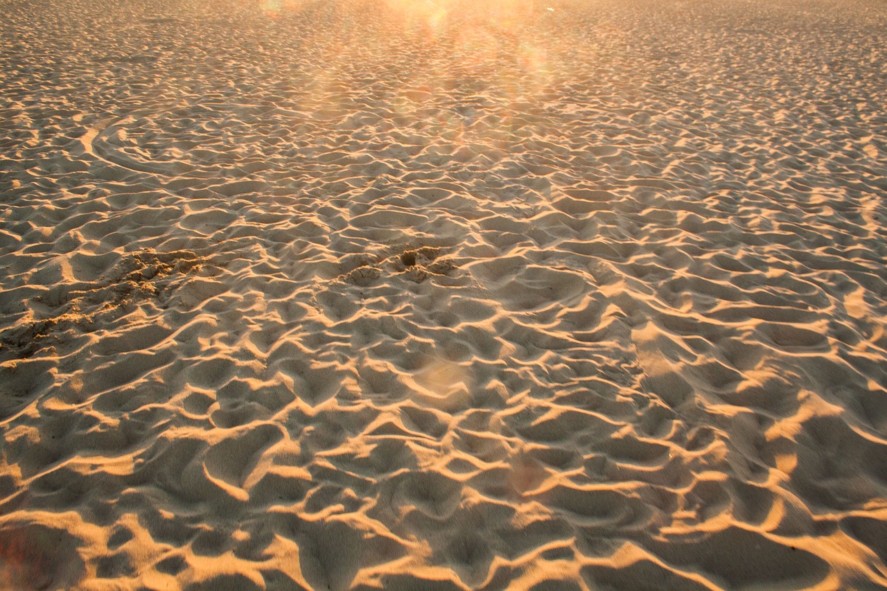 beach sand footprints free photo