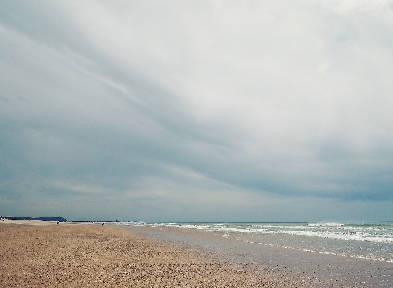 beach sand shore free photo